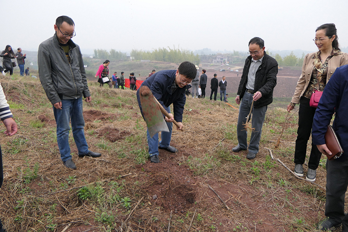 1522053359948033.png 图片1.png