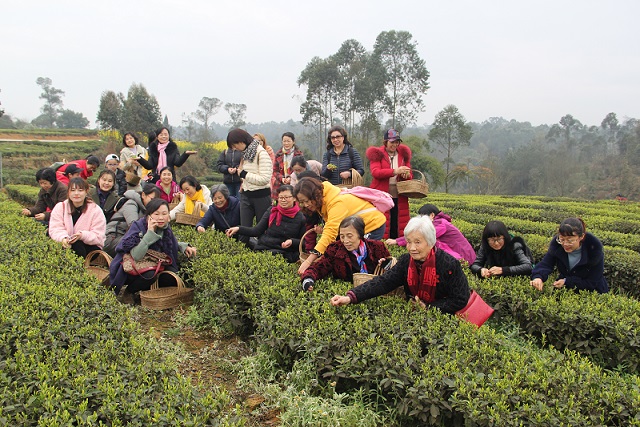 1552895138139289.jpg IMG_7858.JPG