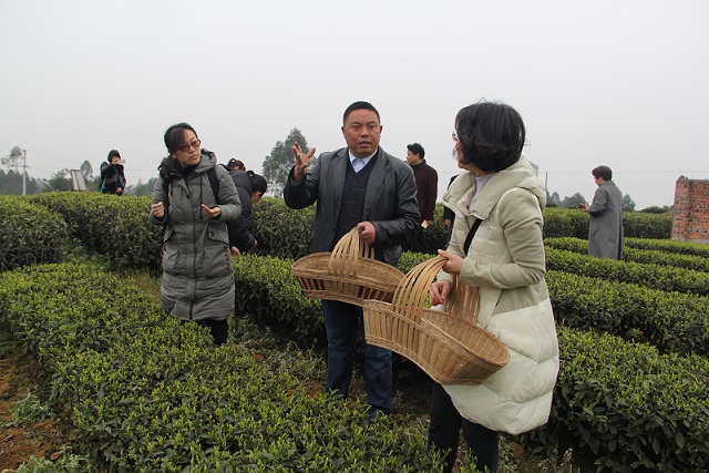 1552895148959608.jpg IMG_7772.JPG