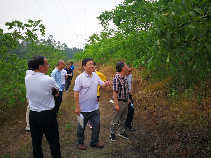 1590130898.jpg 农业组调研2.jpg