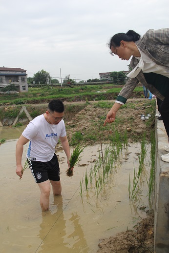 1715527141.jpg 1农技人员指导插秧.jpg